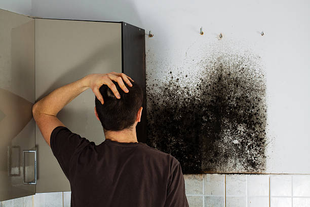Best Mold Cleaning Services  in Woodcreek, TX